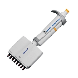 Picture of Multichannel microliter pipettes Eppendorf Research<sup>&reg;</sup> plus (General Lab Product), variable