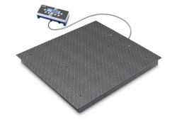 Imagen Floor scale BID