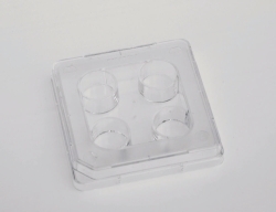 Picture of Biological Test Dish