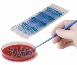 Imagen LLG-Inoculation loops, PS, double, loop/loop