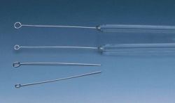 Imagen Inoculation loops, platinum-iridium, fused into glass rod