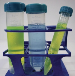 Image LLG-Centrifuge tubes, PP