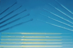 Immagine Inoculating loops, PS