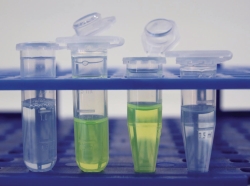 Imagen LLG-Microcentrifuge tubes, PP