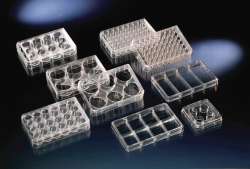 Изображение Multidishes, Nunc&trade; cell culture treated surface, PS, sterile