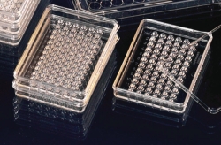 Afbeelding MicroWell plates MiniTrays Nunclon&trade; &Delta;, PS