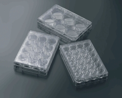 Immagine 3D Cell culture plates CellSCAFLD<sup>&reg;</sup>, treated, PS, sterile
