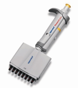 Obraz Multichannel microliter pipettes Eppendorf Research<sup>&reg;</sup> plus (General Lab Product), variable