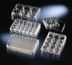 Изображение Multidishes, non-treated, PS, sterile