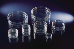 Picture of Petri Dishes, PS, with grid
